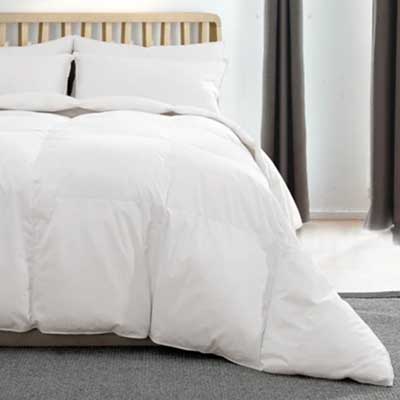 Free Puredown Comforter, Blanket (BzzAgent)