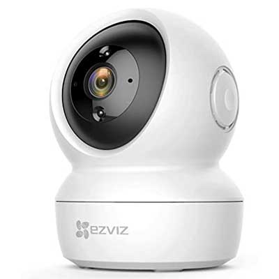 Free Security Camera (Reviewers)