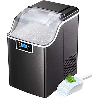 Free Ice Maker (Reviewers)