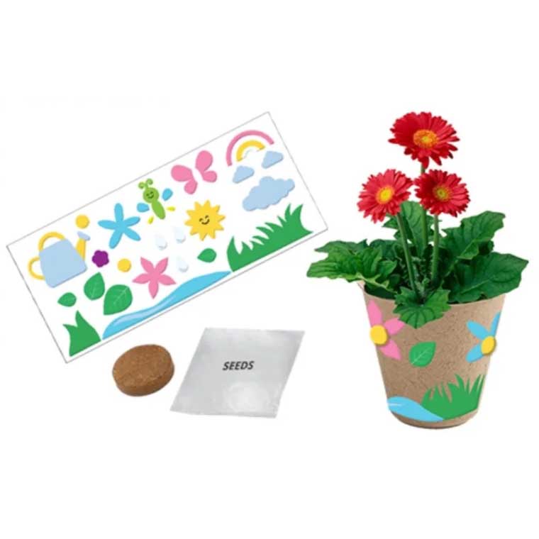 Free Flower Kit at JC Penney