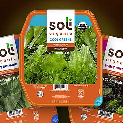 Free Soli Organic Salad (Rebate Offer)