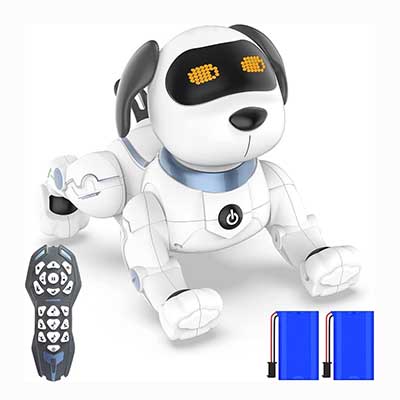Free Robot Pet Toy (Reviewers)